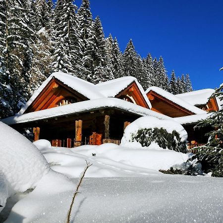 Chalet Caprea Бад Кляйнкирххайм Экстерьер фото