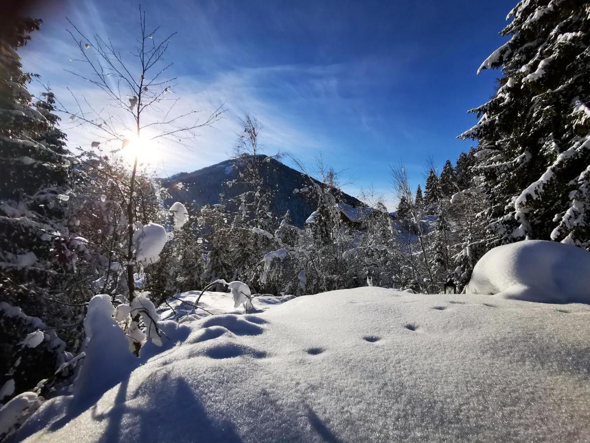 Chalet Caprea Бад Кляйнкирххайм Экстерьер фото