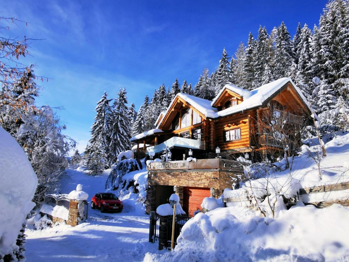 Chalet Caprea Бад Кляйнкирххайм Экстерьер фото