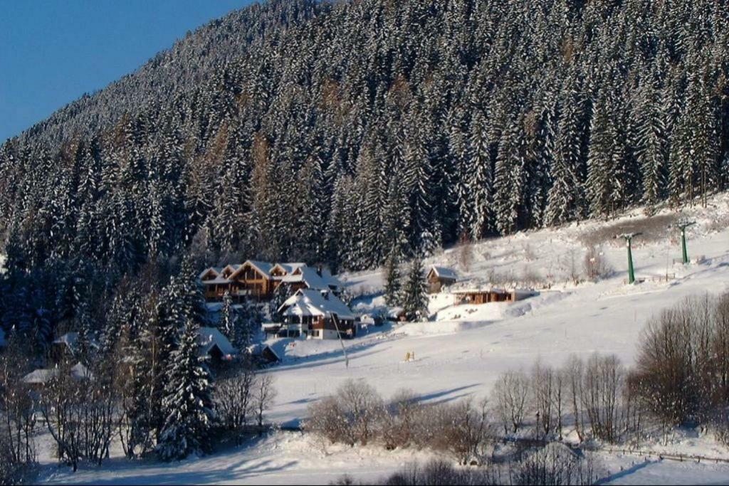 Chalet Caprea Бад Кляйнкирххайм Экстерьер фото