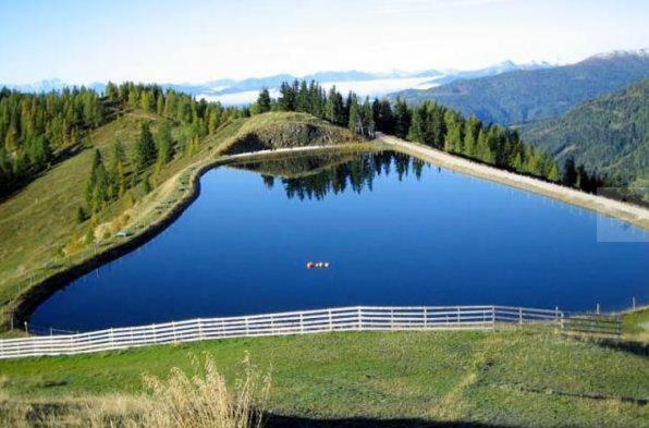 Chalet Caprea Бад Кляйнкирххайм Экстерьер фото